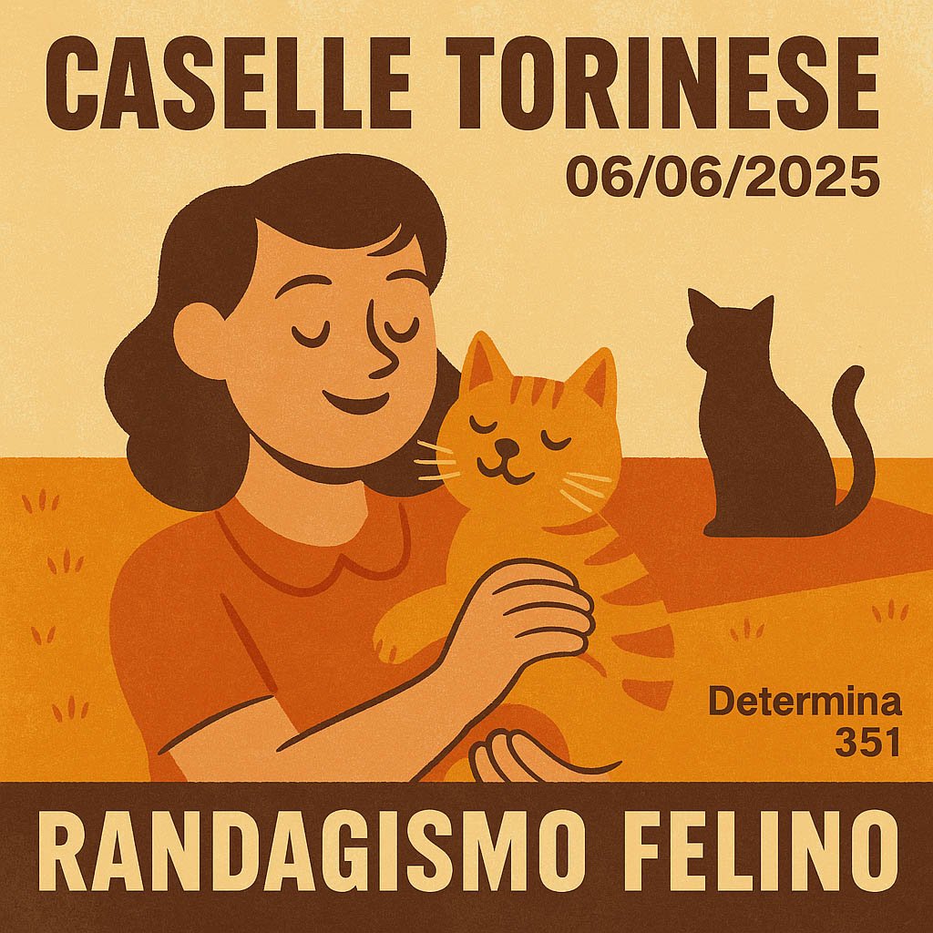 Determinazione