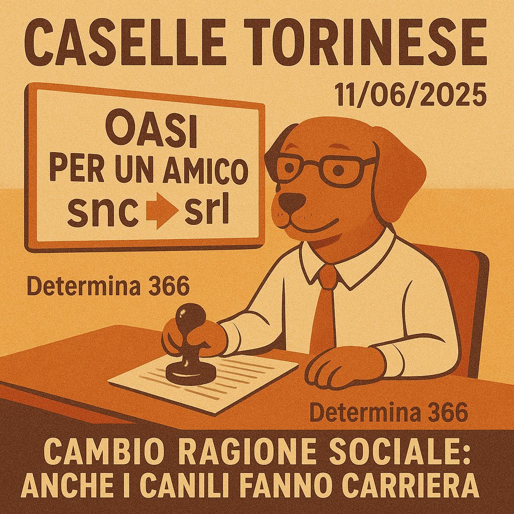 Determinazione
