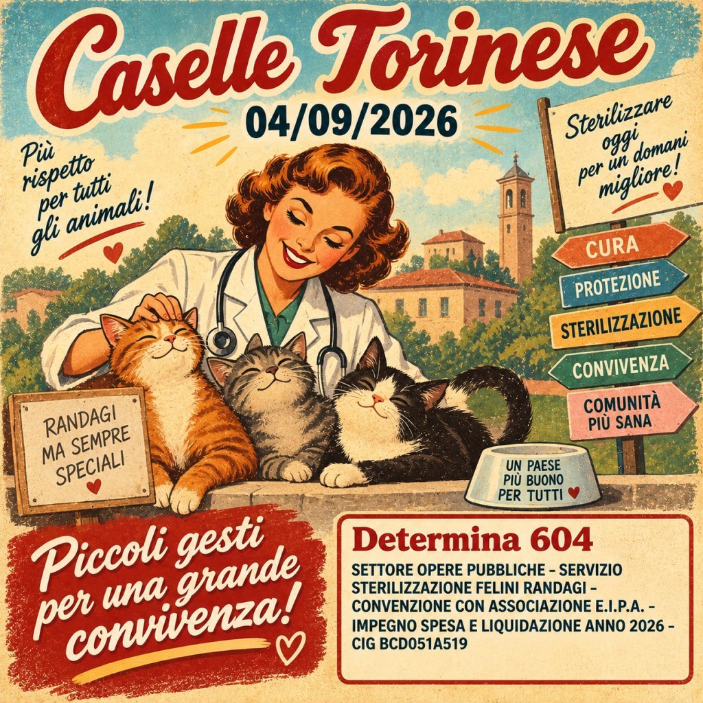 Determinazione